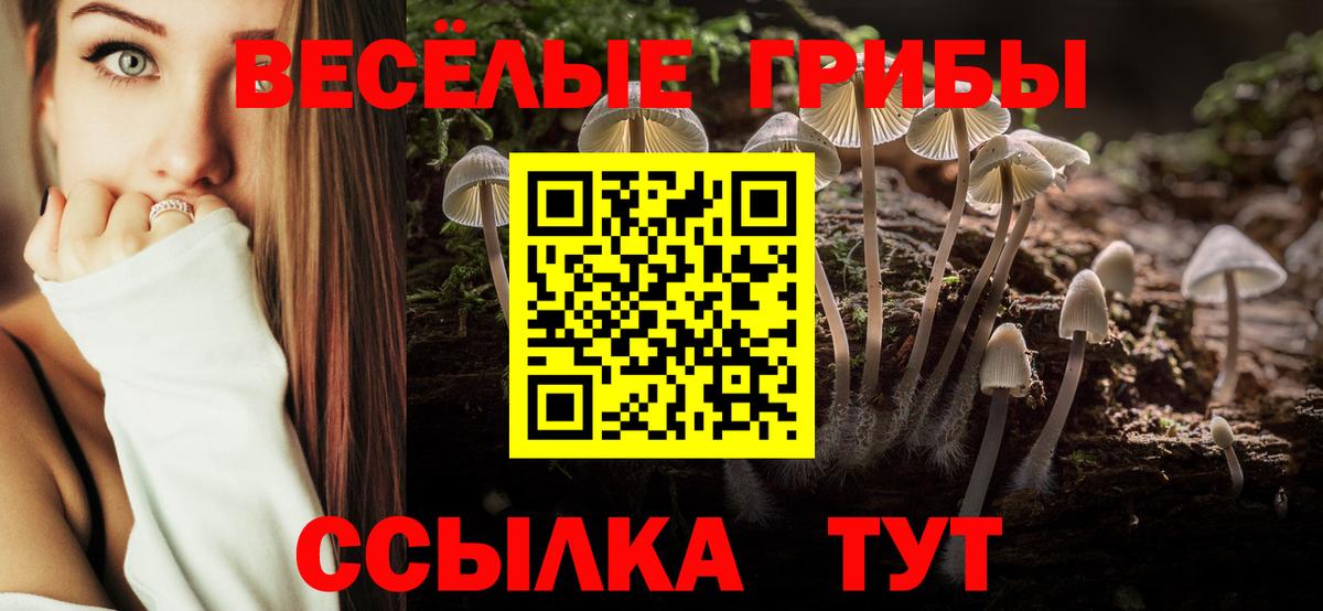 Псилоцибиновые грибы Magic Shrooms  Псилоцибиновые грибы GOLDEN TEACHER  Вход с VPN  Ухта 